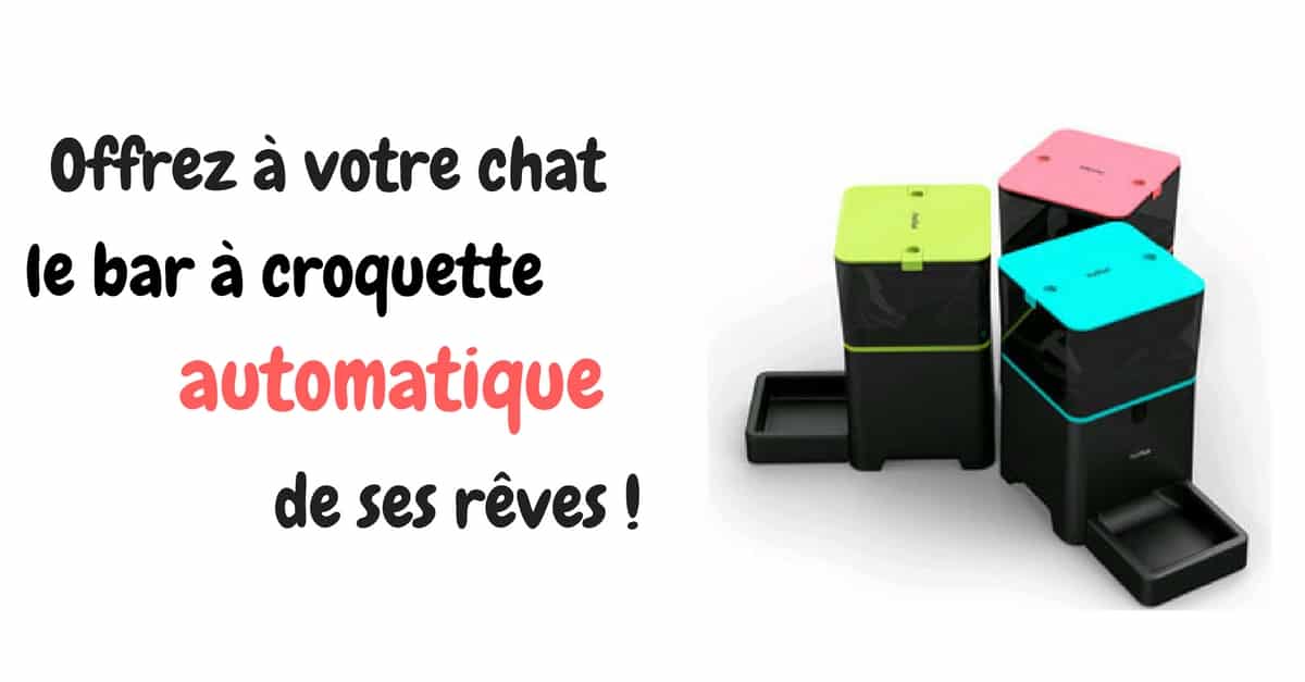 Distributeur De Croquette Automatique Et Programmable Distributeur De Croquette Automatique Et Programmable