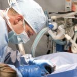 Vétérinaire chirurgie sur le chat